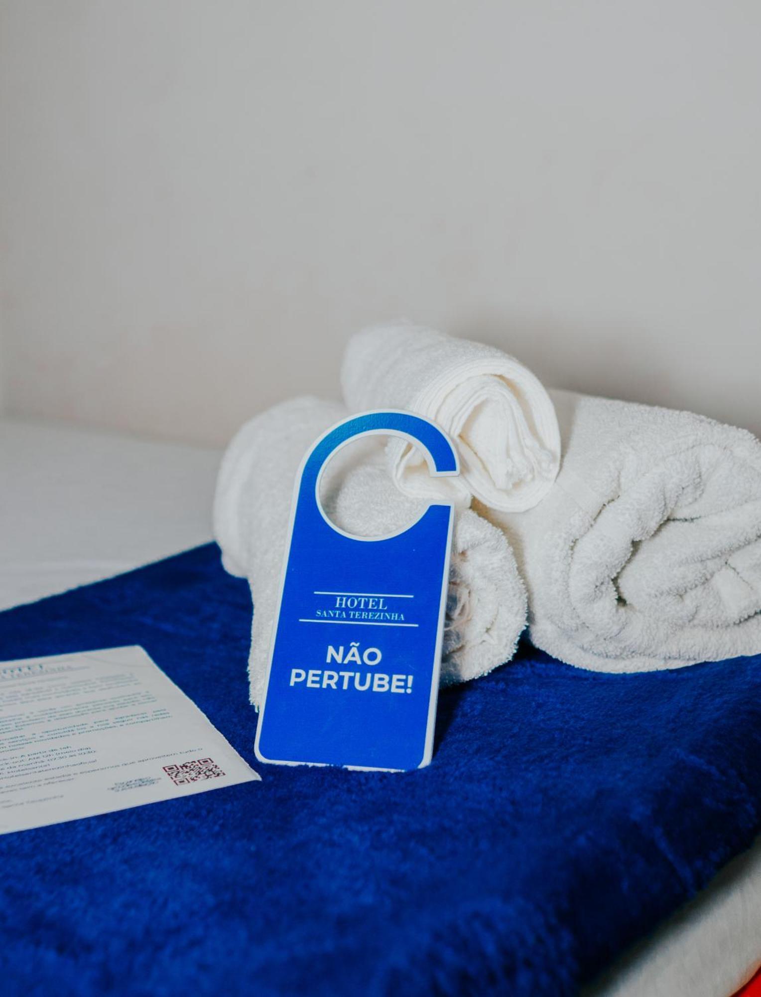 Hotel Santa Terezinha 阿尔弗雷多沙维斯 外观 照片